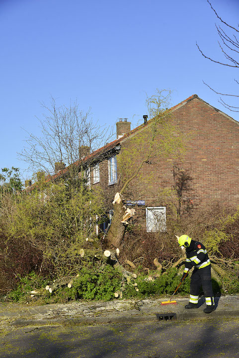 2020/86/20200329-17u52 GB 016 Stormschade Swammerdamstraat.jpg